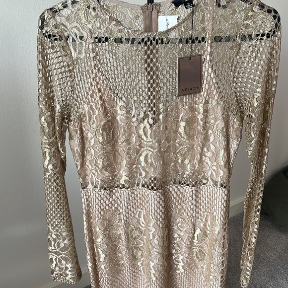BRAND NEW GOLD NUDE DRESS - Picture 3 of 4